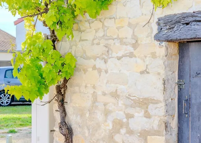 The Of The Whispers Of The South-west Villedoux